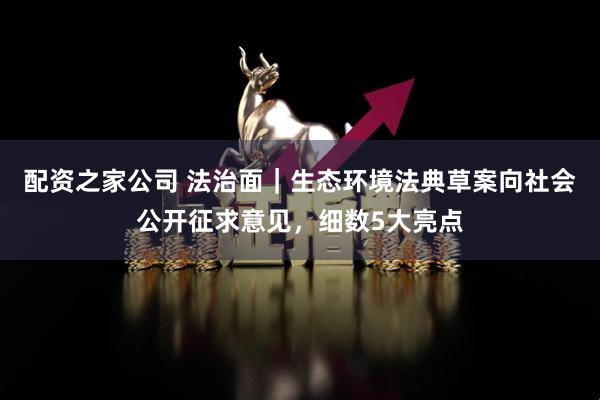 配资之家公司 法治面｜生态环境法典草案向社会公开征求意见，细数5大亮点