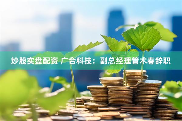 炒股实盘配资 广合科技：副总经理管术春辞职